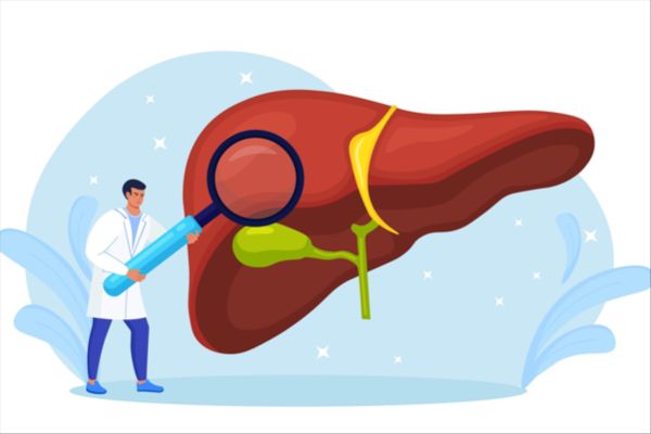 Sagimet Biosciences Reports Finalized Phase 1 Study on Denifanstat for Liver Dysfunction
