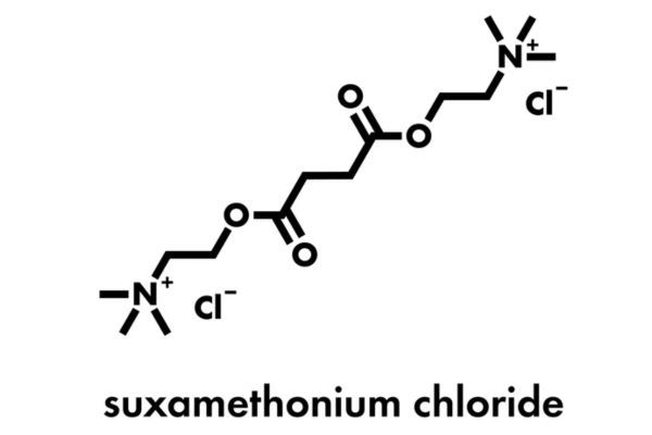 Market Analysis of Succinylcholine Chloride in the USA: Opportunities and Patent Landscape