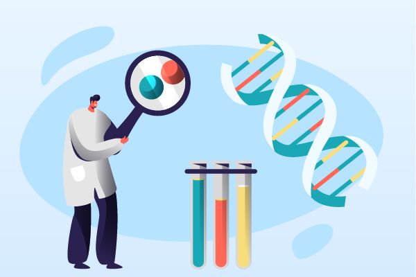 Analysis and Application of Chemical Modification Strategies for Small Nucleic Acid Drugs