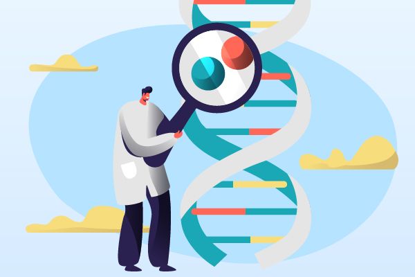 An In-depth Analysis of Ropinirole's R&D Progress and Mechanism of Action on Drug Targets