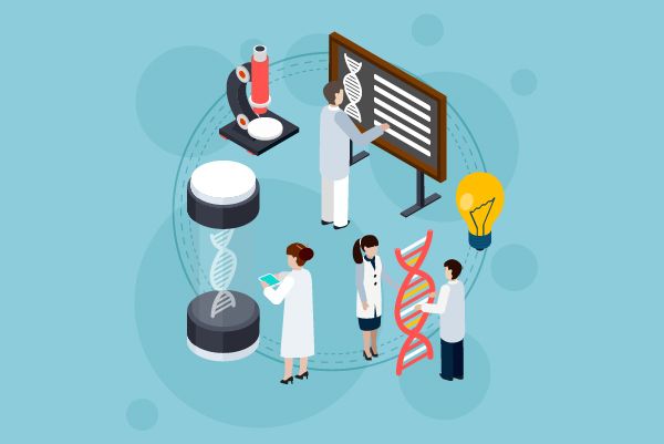 How to find the chemical modification of Inclisiran sodium?