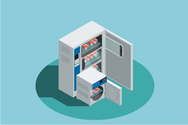 Using Synapse for Your Amlodipine Research: An Easy Guide