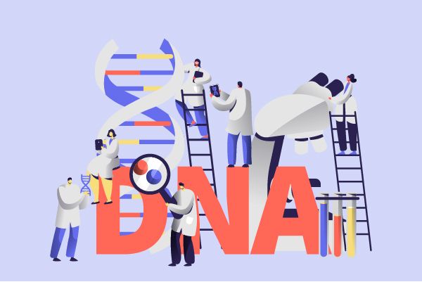 Pharmaceutical Insights: Phendimetrazine Tartrate's R&D Progress