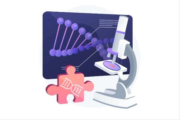 How to find the core components of Loncastuximab tesirine?