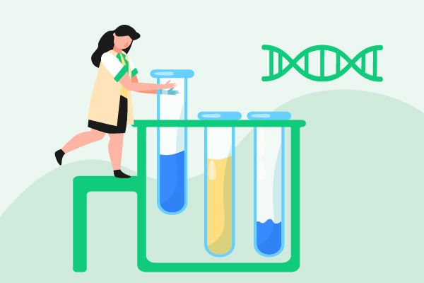 Deep Scientific Insights on Cefaclor's R&D Progress, Mechanism of Action, and Drug Target