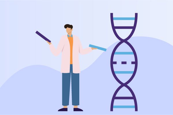 How to find the structure and classification of Cetuximab?