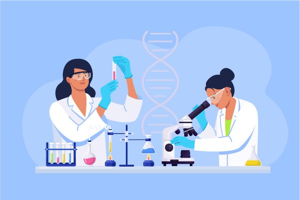 Potent "bone-protecting drugs" - RANKL inhibitors