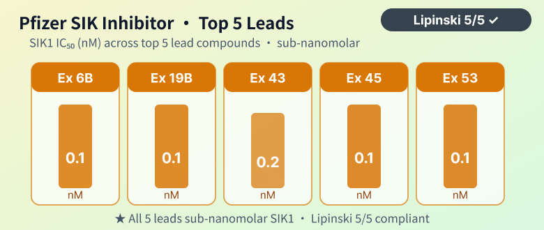 Pfizer SIK Inhibitor — Top 5 Lead Compound Mining
