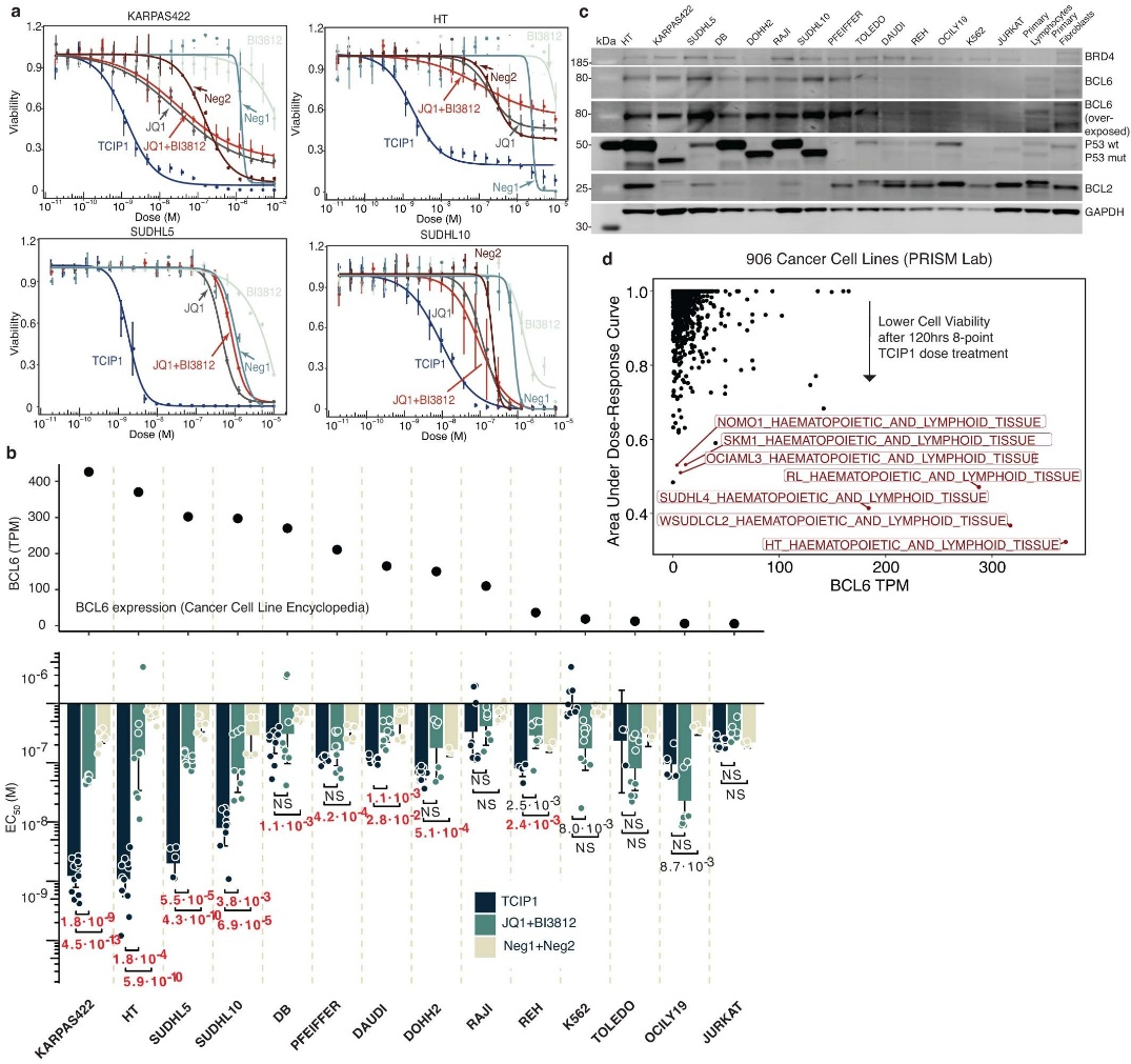 Extended Data Fig. 1