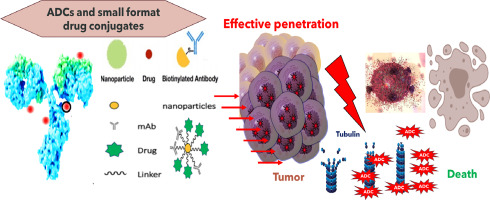 Precision Oncology's Twin Engines: A Comparative Analysis of RDCs and ...