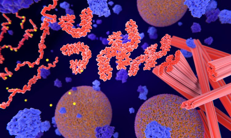 Tau proteins aggregate to neurofibrillary tangles in a neuron axon