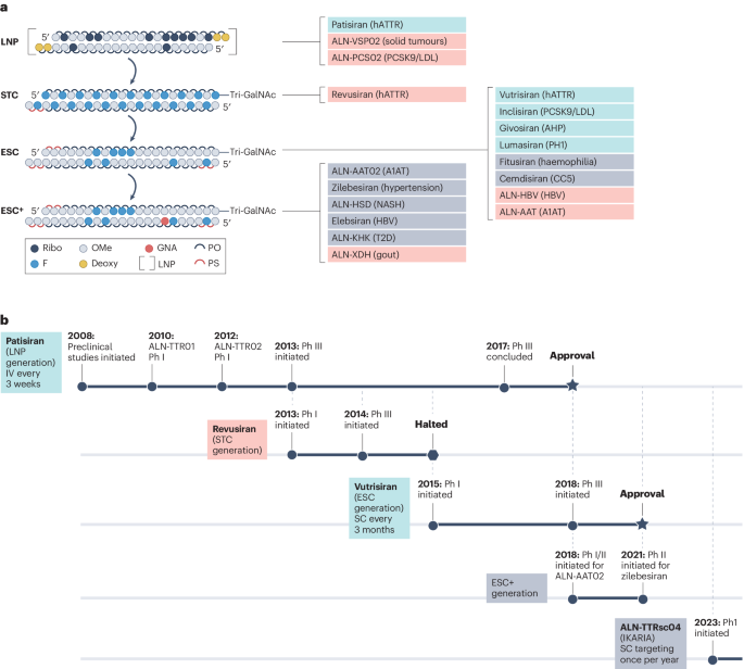 siRNA and ASO: Exploring the Pillars of Small Nucleic Acid Therapeutics