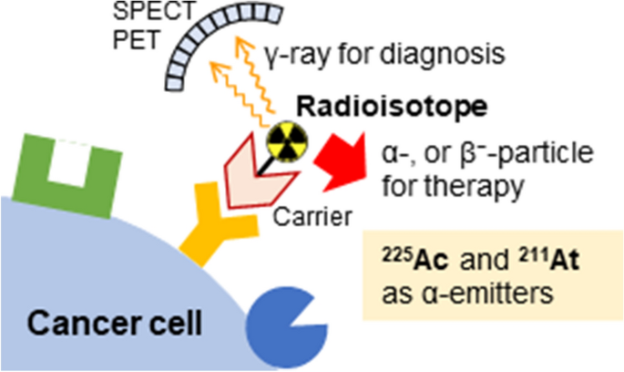 Radioligand Drug Conjugates (RDCs): The Precision Oncology Revolution ...