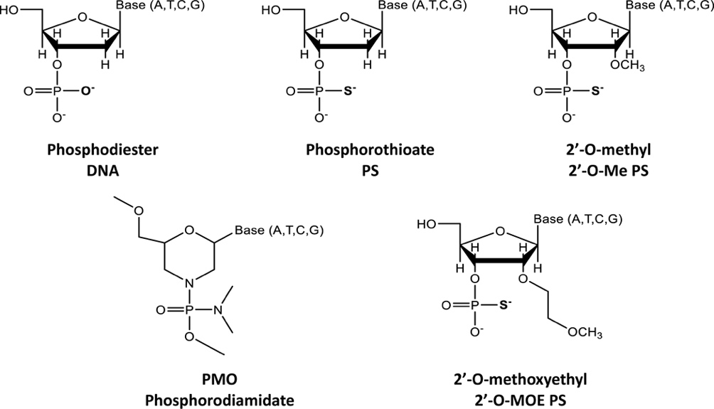Figure 2:
